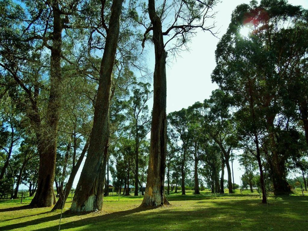 Inn The Tuarts Guest Lodge Busselton Accommodation - Adults Only Extérieur photo
