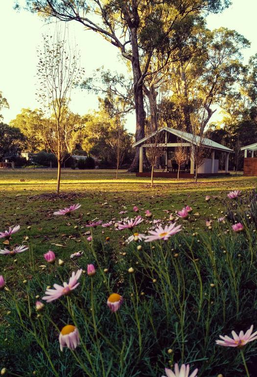 Inn The Tuarts Guest Lodge Busselton Accommodation - Adults Only Extérieur photo