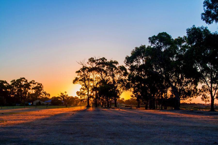 Inn The Tuarts Guest Lodge Busselton Accommodation - Adults Only Extérieur photo