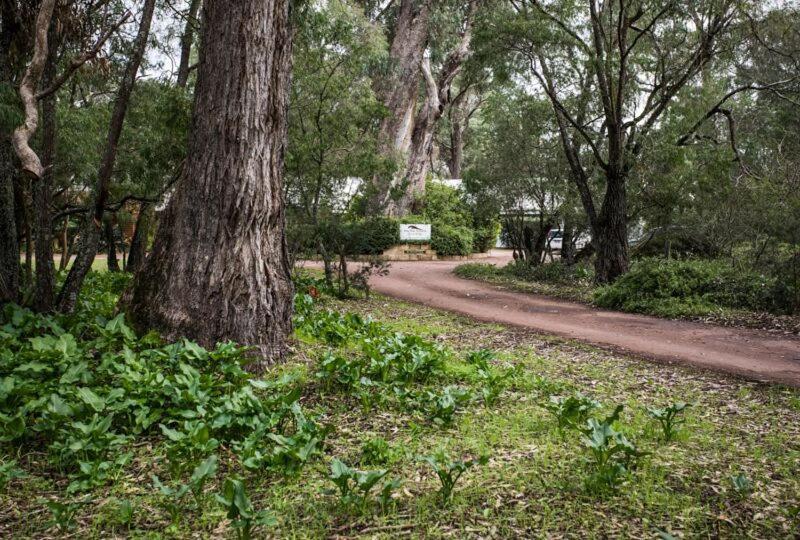 Inn The Tuarts Guest Lodge Busselton Accommodation - Adults Only Extérieur photo